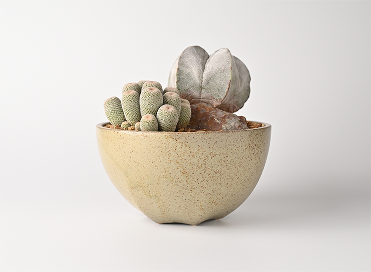 植木鉢_sand Lのイメージ