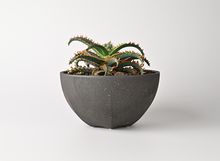 植木鉢_iron Lのイメージ